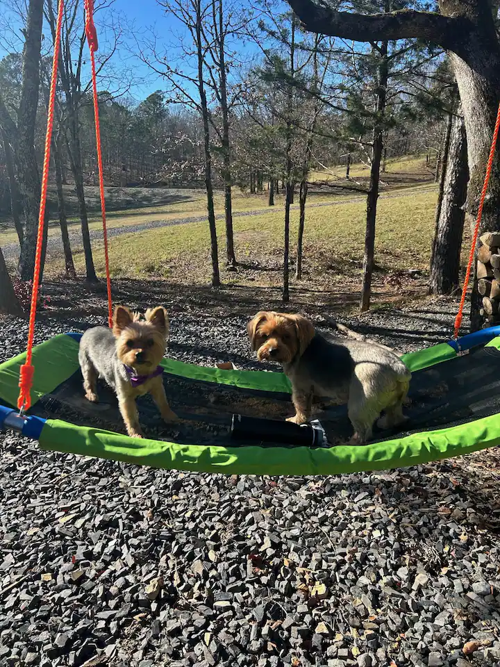 Swing